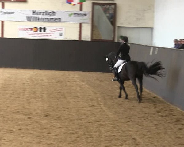 Reitturnier St. Peter Ording 2019