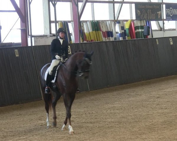 Reitturnier St. Peter Ording 2019