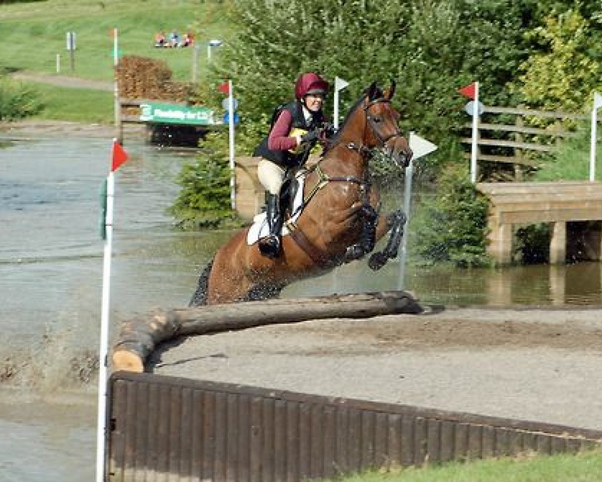 Pferd Short Changed (British Sport Horse, 2005, von Fleetwater Opposition)