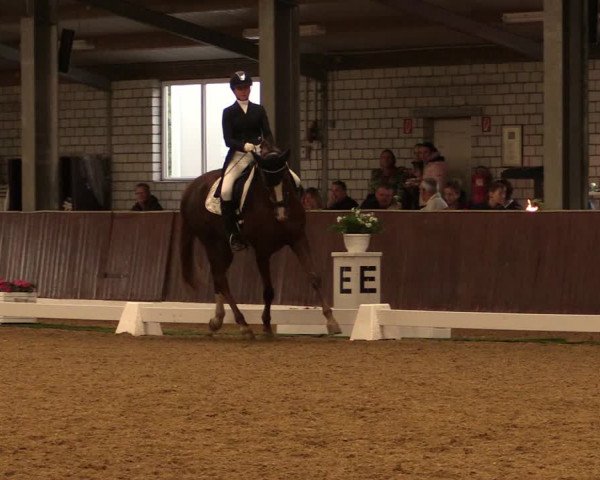 Reitturnier Kirchhellen-RSV Zur Linde 2019