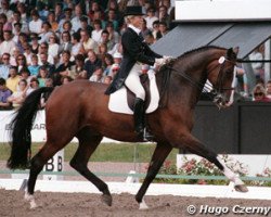 horse Corlandus (Holsteiner, 1976, from Cor de la Bryère)