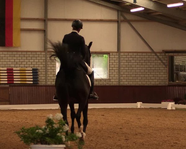 Reitturnier Kirchhellen-RSV Zur Linde 2019