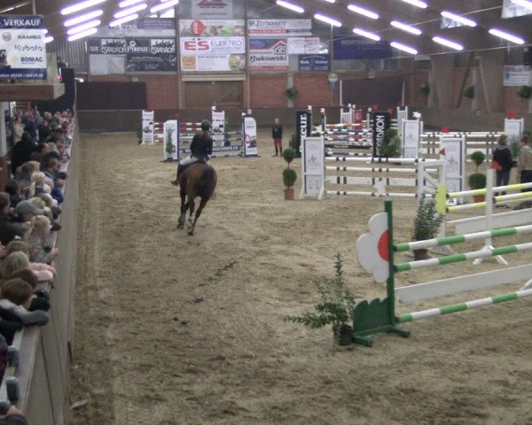 Reitturnier Hüllhorst 2019