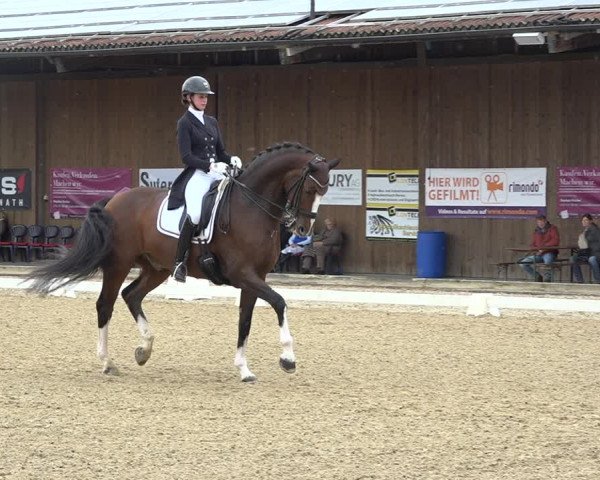Reitturnier Deitingen 2019