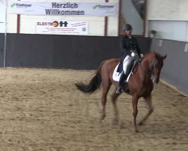 Reitturnier St. Peter Ording 2019
