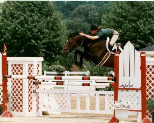 broodmare O Miz Yenko xx (Thoroughbred, 1994, from Zen xx)