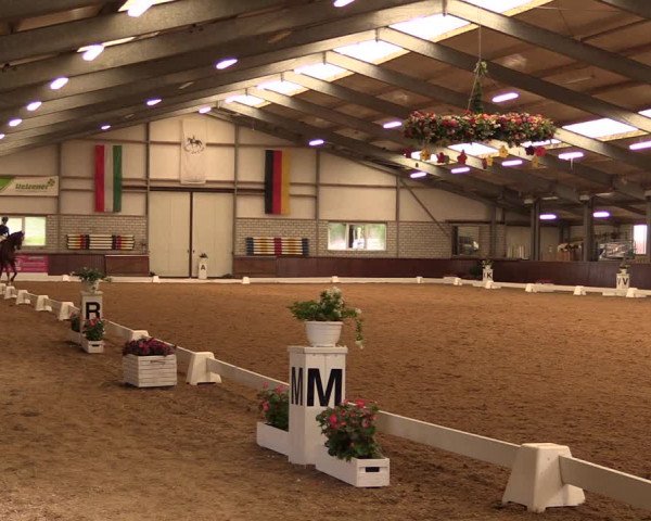 Reitturnier Kirchhellen-RSV Zur Linde 2019