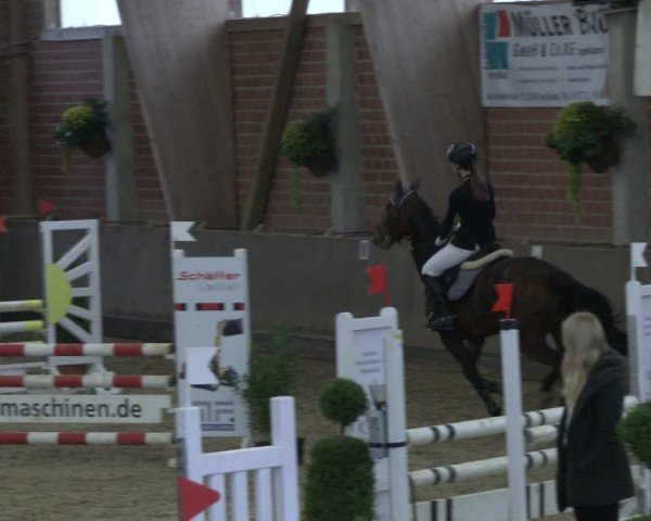 Reitturnier Hüllhorst 2019