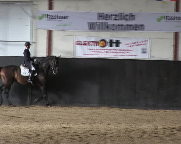 Reitturnier St. Peter Ording 2019