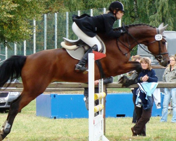 dressage horse Santorin Salitos (Trakehner, 2000, from Le Duc)