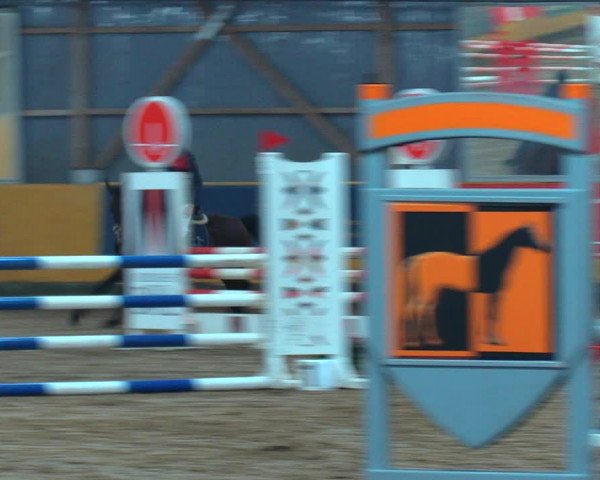 Reitturnier Pausin 2019