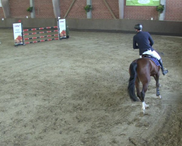 Reitturnier Hüllhorst 2019