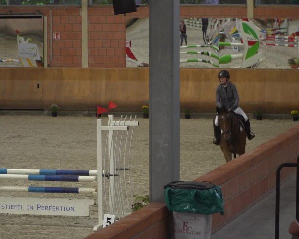 Reitturnier Mönchengladbach-Wickrath 2019