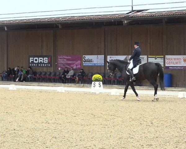 Reitturnier Deitingen 2019
