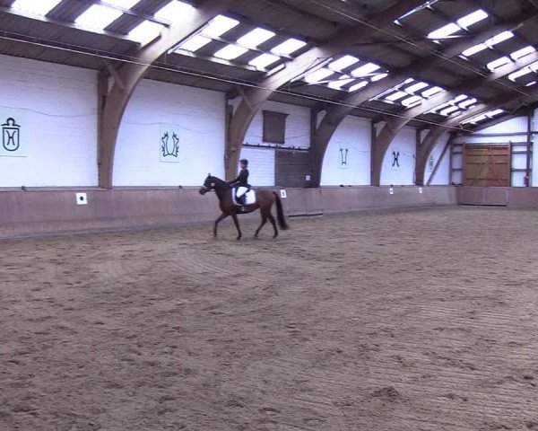 Reitturnier Kellinghusen 2019