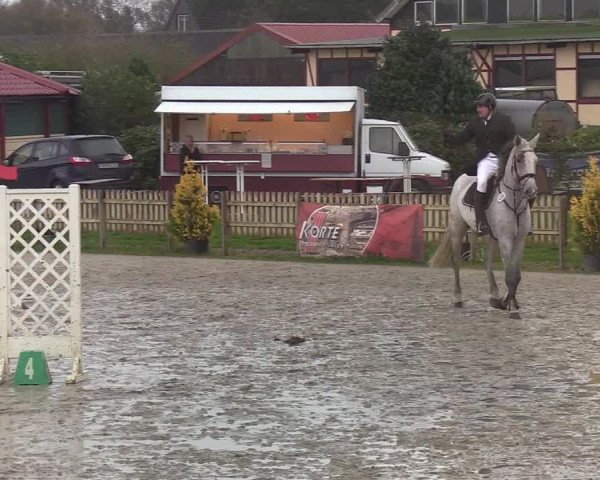Reitturnier Schülp / Rendsburg 2019