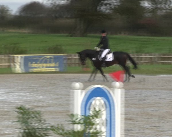 Reitturnier Schülp / Rendsburg 2019