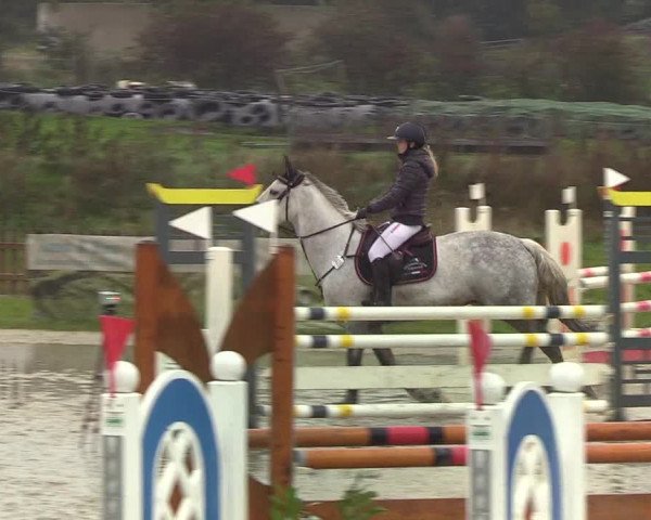 Reitturnier Schülp / Rendsburg 2019