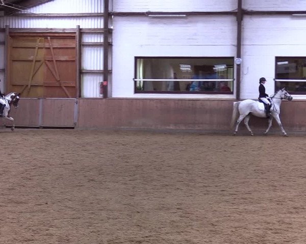 Reitturnier Kellinghusen 2019