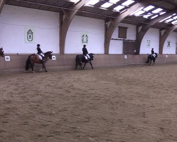 Reitturnier Kellinghusen 2019