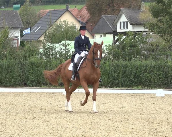 Reitturnier Deitingen 2019