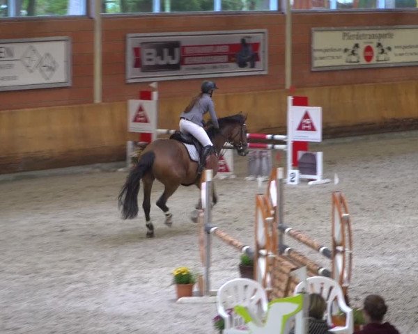 Reitturnier Mönchengladbach-Wickrath 2019