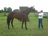 broodmare Liebeskind 4 (Westphalian, 2010, from Lord Loxley I)