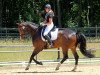 dressage horse Dakkar M (Württemberger, 2009, from Birkhofs Denario)