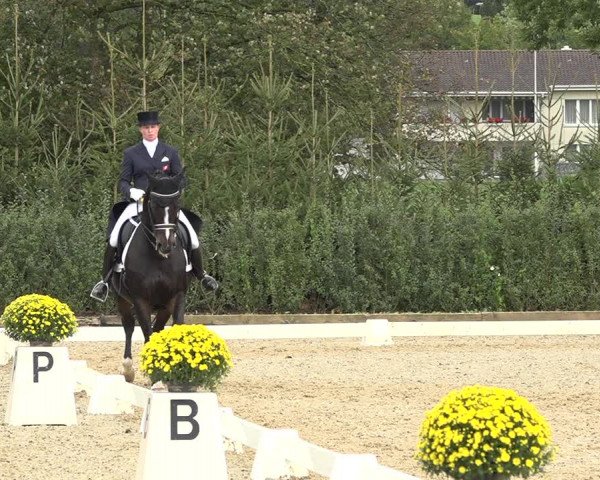 Reitturnier Deitingen 2019
