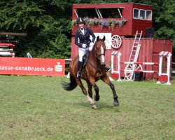 jumper Grand Tessa 2 (Hanoverian, 2000, from Grand Cru)