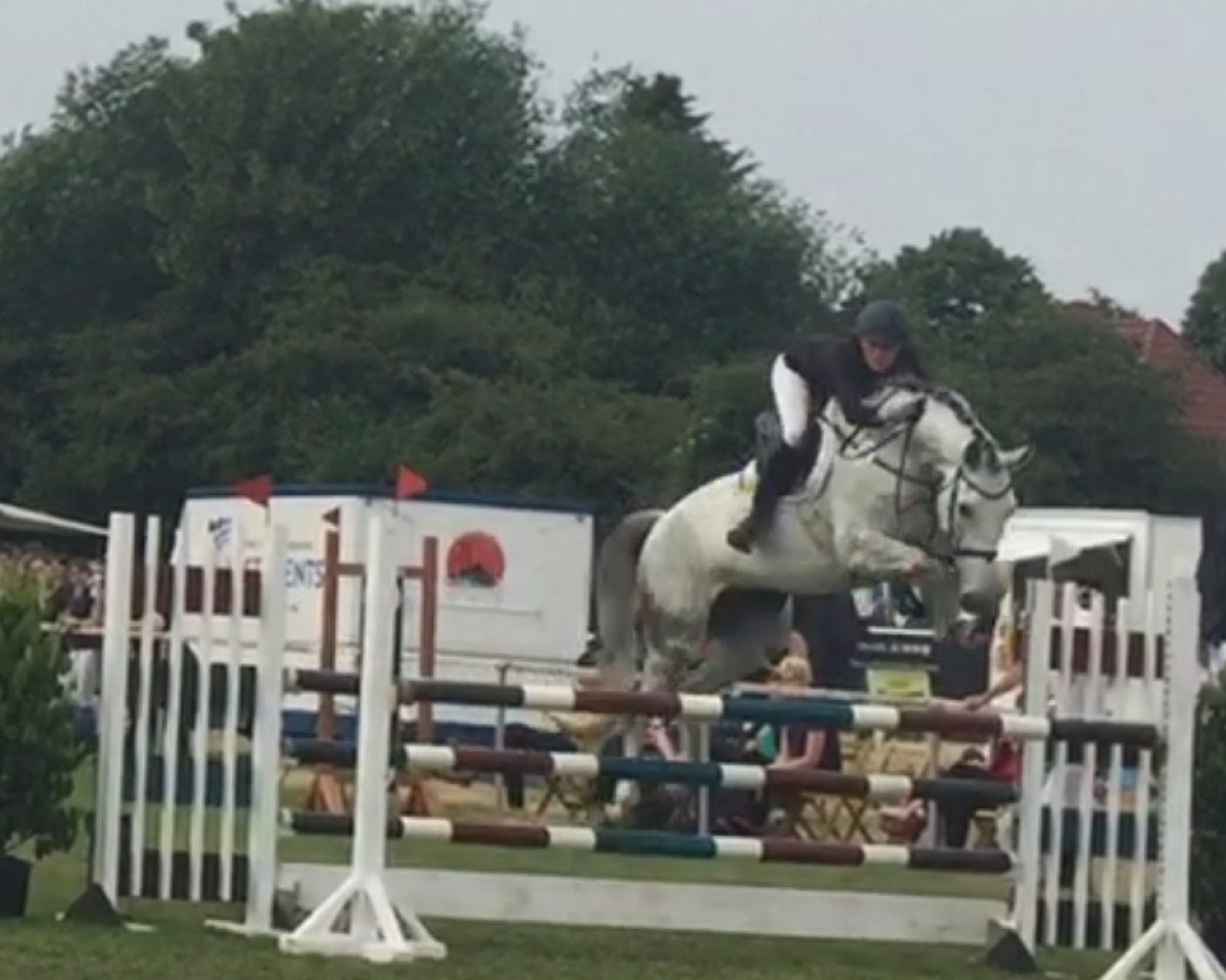 Springpferd Coco Chanel 177 (Westfale, 2008, von Cristallo I)