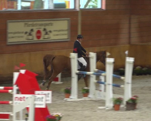 Reitturnier Mönchengladbach-Wickrath 2019