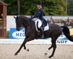 dressage horse Desandro (Bavarian, 2006, from Denaro)