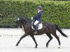 dressage horse Tisrara Hill (Irish Sport Horse, 1998, from Moores Clover)