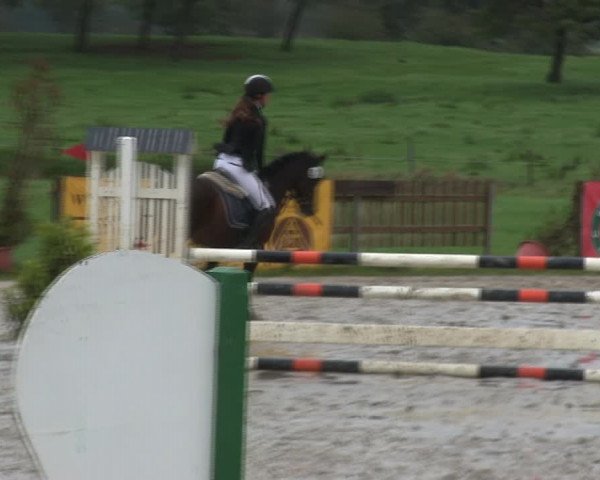Reitturnier Schülp / Rendsburg 2019