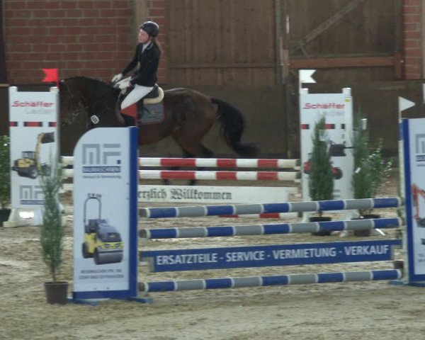 Reitturnier Hüllhorst 2019