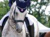 dressage horse Maddox 32 (Hanoverian, 2008, from Münchhausen)