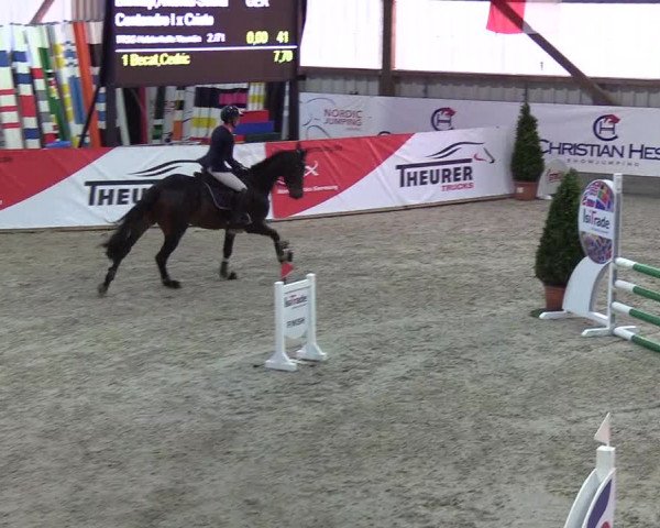 Nordic Jumping events 2019