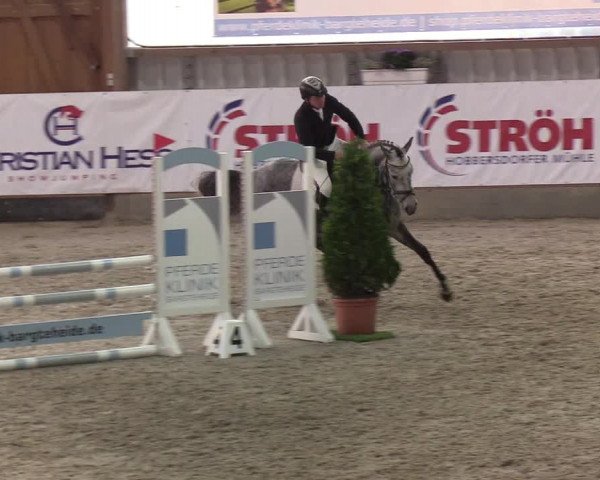 Nordic Jumping events 2019