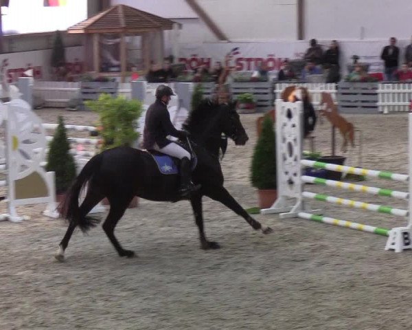 Nordic Jumping events 2019