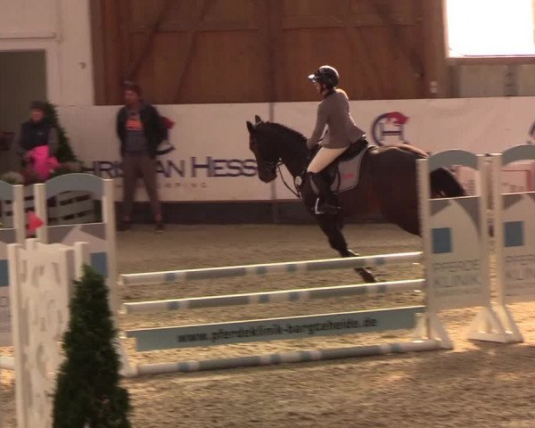 Nordic Jumping events 2019