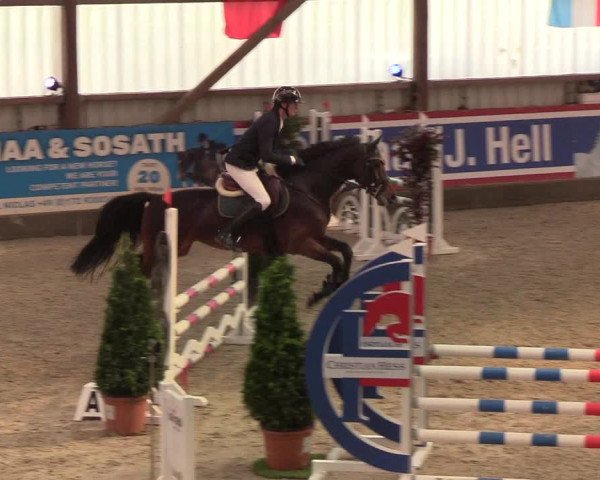Nordic Jumping events 2019