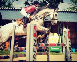 Springpferd Balus Flying Shadow (Polnisches Warmblut, 2007, von Bajou du Rouet)