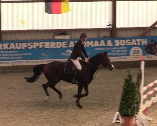 Nordic Jumping events 2019