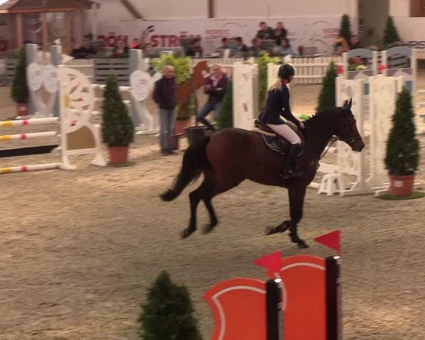 Nordic Jumping events 2019