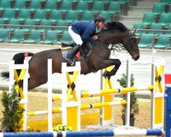 broodmare Merry Lou 7 (German Sport Horse, 2007, from Dream of Diamond)