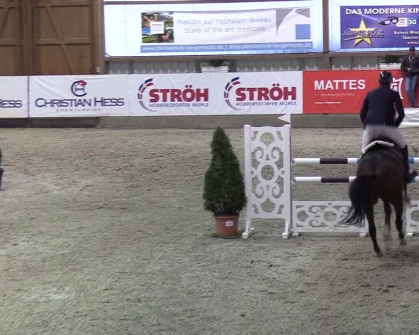 Nordic Jumping events 2019