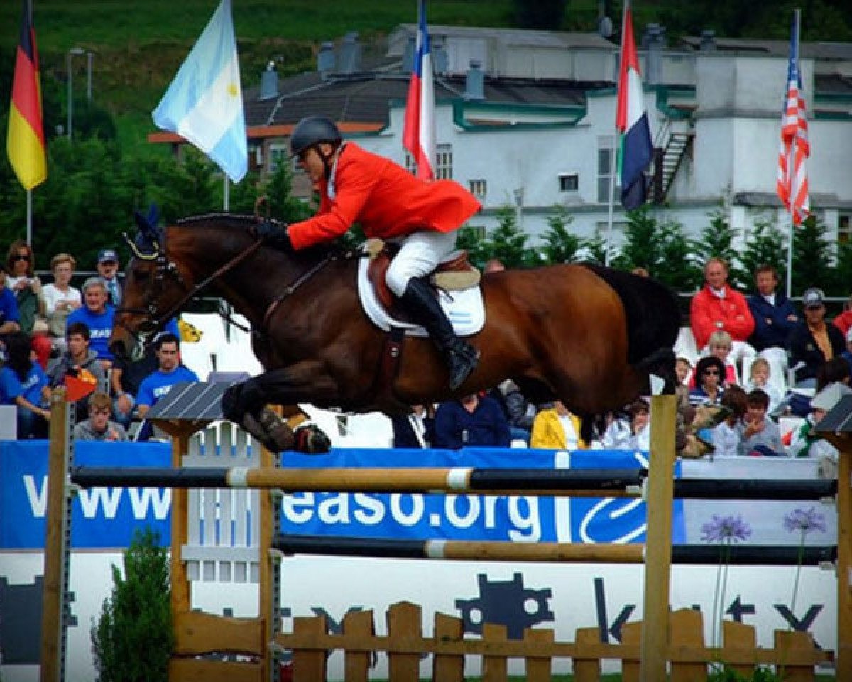 stallion Prince de Revel (Belgian Warmblood, 1992, from Quidam de Revel)