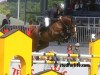 broodmare Luxtria van 't Gelutt Z (Zangersheide riding horse, 2001, from Lux Z)