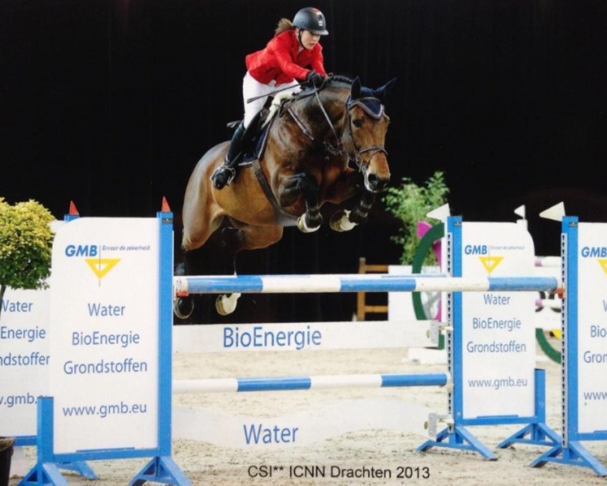 Deckhengst Cadence van't Gelutt Z (Zangersheide Reitpferd, 2002, von Cento)
